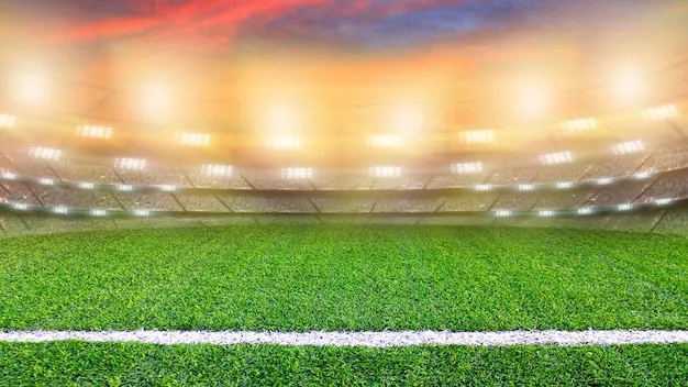 人人体育app 产品预览